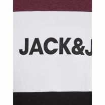 JACK & JONES Sweat Hoodie Logo Port Royale